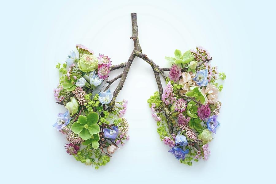 Comment nettoyer les poumons après le tabac : guide complet pour retrouver une respiration saine